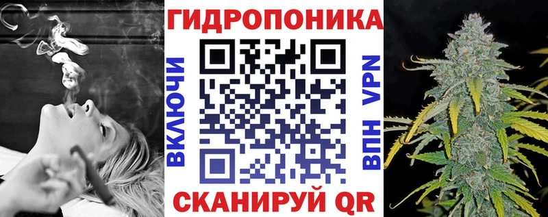 Где купить Грязи APVP  Каннабис  МДМА  LSD-25  Гашиш  Cocaine  МЕФ 