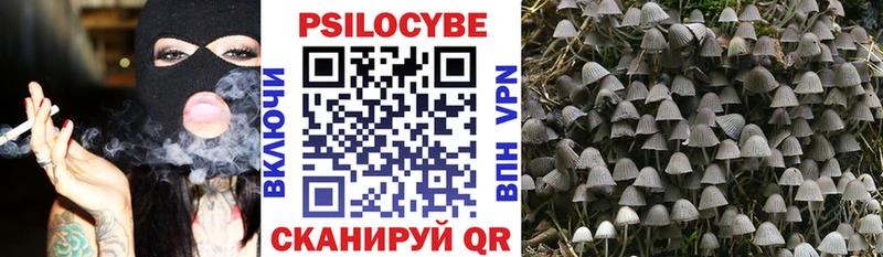 Галлюциногенные грибы Psilocybine cubensis mega tor Грязи как найти