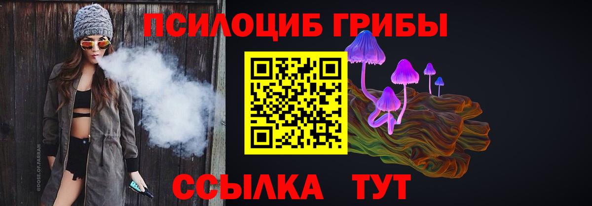 Галлюциногенные грибы Psilocybine cubensis  Галлюциногенные грибы Cubensis  Грязи  Вход с VPN 
